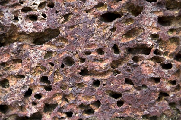 Stress et troubles digestifs : zoom sur la vésicule biliaire